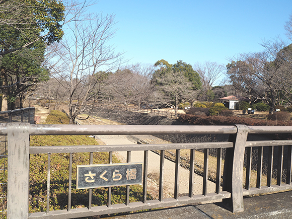 橋からみた残堀川