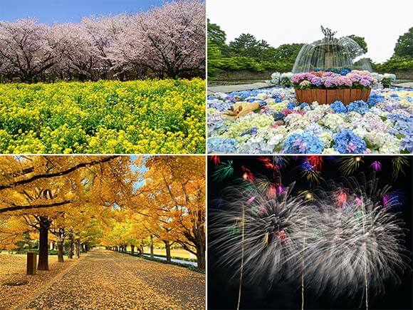 紅葉の時期の様子や花火など