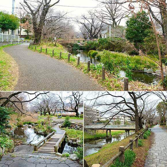 道路と園内を流れる小川