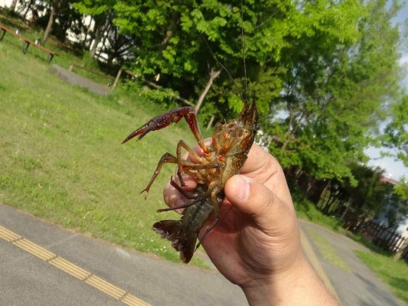 ザリガニを持つ人