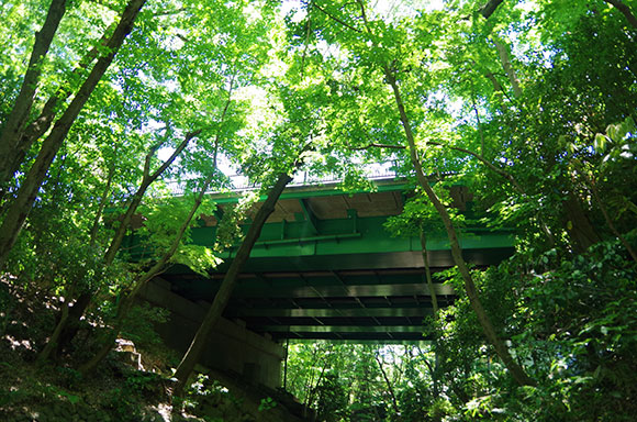 景色と同化している緑色の橋