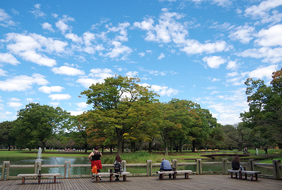 代々木公園の池とベンチ