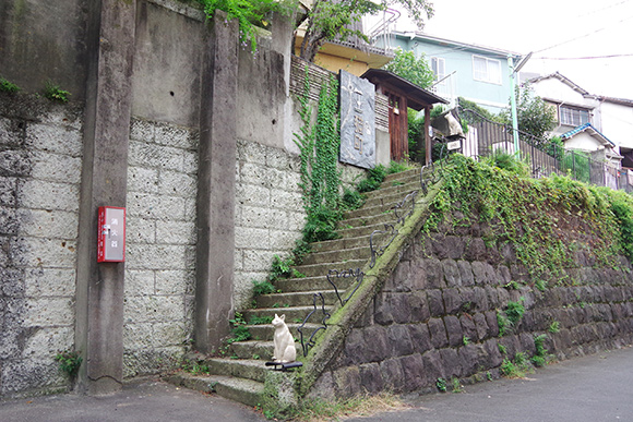 石段の上にあるお店