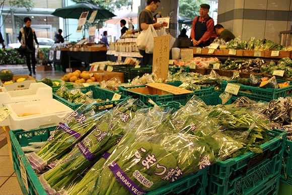 こまつ菜などの野菜