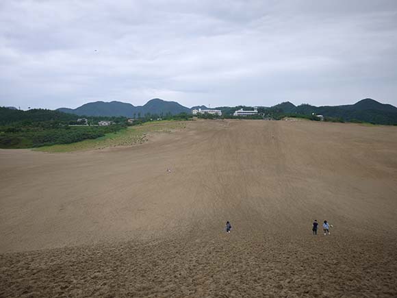 馬の背からみた砂丘