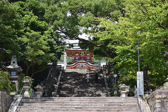 青々とした木々に囲まれた大石段