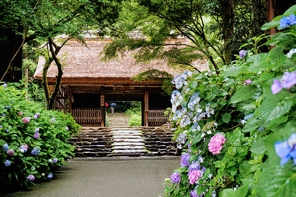 東大寺別院阿弥陀寺仁王門