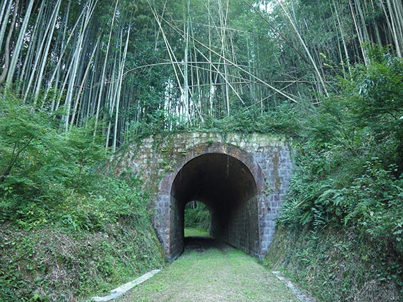 鬱蒼と茂る竹林に隠れたトンネル