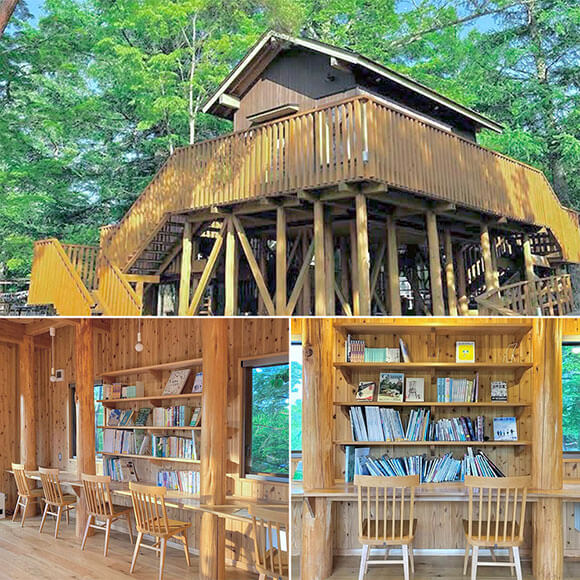 森に囲まれたツリーハウス