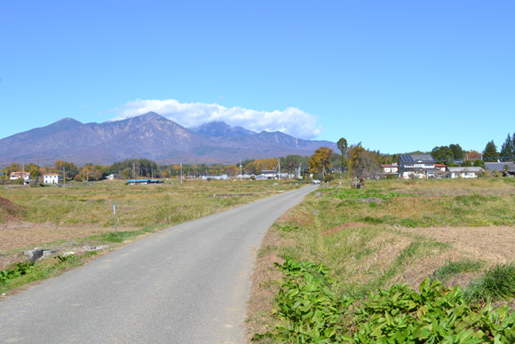 草原と山に囲まれた道