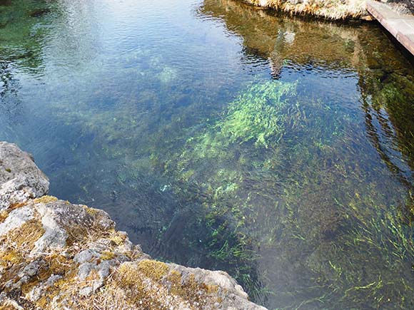 池底が見える池