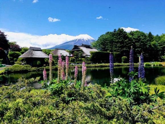 池と風車と富士山