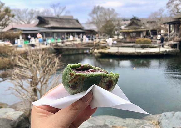 半分に割ったあんこ入りの草餅