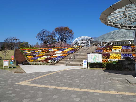 斜面に広がる花壇