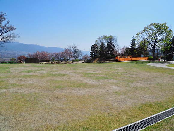 芝生が生い茂る広場