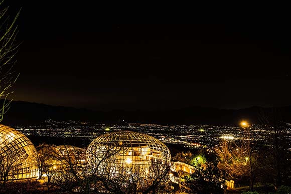 展望台から見るきれいな夜景